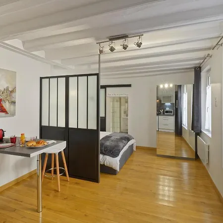 Apartment Hyper Centre Place Imbach Angers
